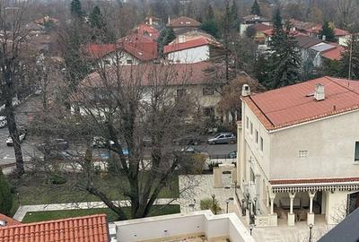 Primaverii, Helesteului - 3