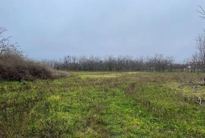 Teren intravilan 3367 mp cu casa demolabile 54 mp puț existent! - 2