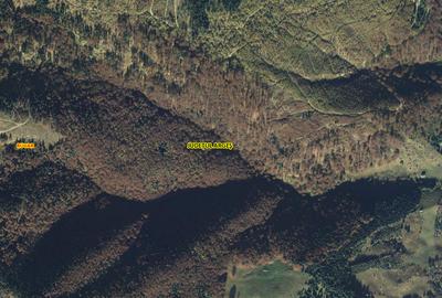 Teren agricol extravilan de 50000 mp, în Rucăr - 2