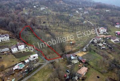 Teren de vanzare in comuna Arefu, jude? Arge?. - 2