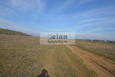 Pipera - Lidl Racovita -  Teren 6000 Mp, 38 Ml Deschidere 38 Ml - 14