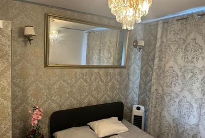 Garsoniera-Aradului-renovata-mobilata-utilata - 2