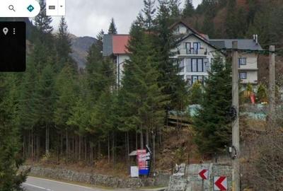 TEREN EXTRAVILAN PADURE PISCUL NEGRU ARGES - 10