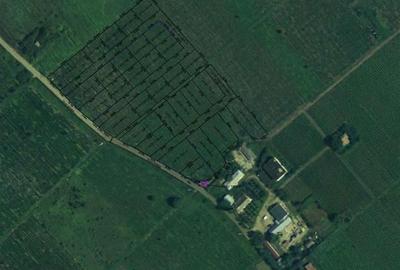 LOTIZARE UNIREA-ODOBESTI - 2