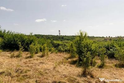Teren de 1200 mp, în Paleu - 14