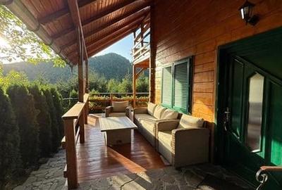 Cabana - Casa de vacanta situata in Muntele Rece! - 12