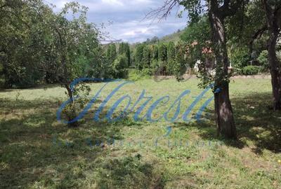 Casă cu 2 camere cu Teren 2200 Mp în Zimbor - 5