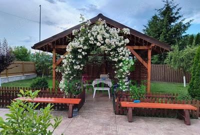 Casă individuală cu 4 camere cu Teren 808 Mp în Stupini - 6