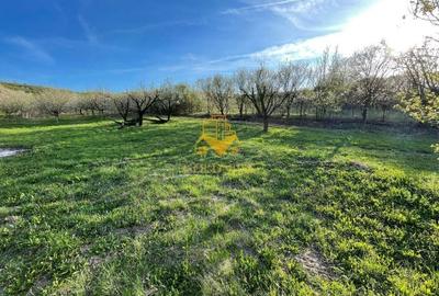 Tren Soporului Intravilan ,5500 MP Utilitati,  Oportunitate - 2