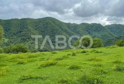 Teren de 16879 mp, în Mărtinie - 5