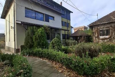 Daesti, jud. Valcea - 14