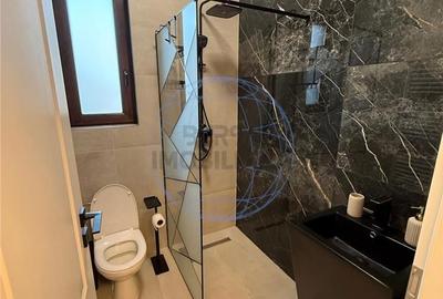 Casă cu 3 camere cu Teren 300 Mp în Câmpineanca - 13