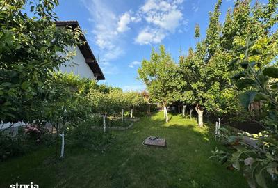 Casă cu 5 camere cu Teren 540 Mp în Sânmihaiu Român - 8