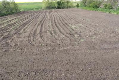 Casă cu 7 camere cu Teren 2300 Mp în Costieni - 1