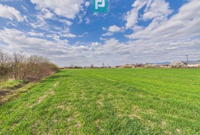 Teren agricol extravilan de 10000 mp, în Sud-Est - 9