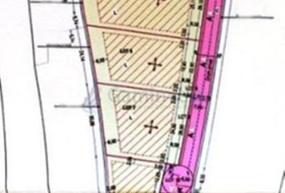 Spațiu comercial, în Cetariu