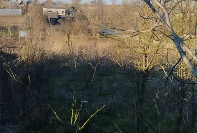 Vanzare casa Obarsia - 4