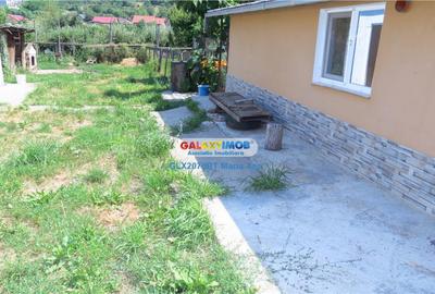 Casă cu 3 camere cu Teren 5000 Mp în Central - 6
