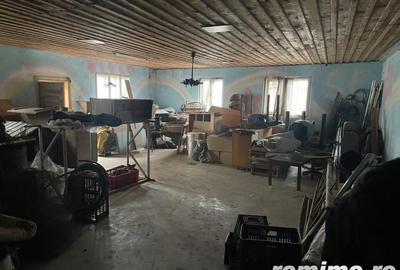 Proprietate de vanzare, imobil 300 mp + 2000 mp teren, Nires - 2