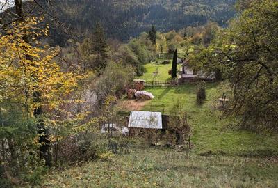 Teren vanzare negociabil - 8