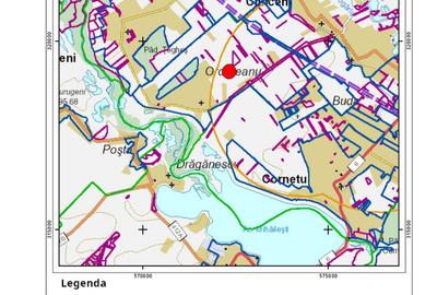 Proprietar - Teren intravilan unicat Clinceni - 15.070 mp - 14 euro/mp - 9