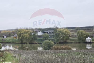 Teren de 129700 mp, în Iepurești - 16