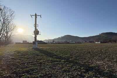 Teren de 1150 mp, în Central - 5