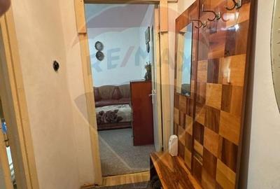 Apartament cu 2 camere semidecomandat în Valea Rosie - 6