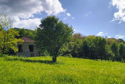 Casă cu 2 camere decomandat în Mada - 1