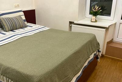 Apartament cu 2 camere de inchiriat in zona Teiul Doamnei - 4