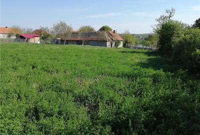 Casă cu 3 camere cu Teren 1250 Mp în Clopodia - 4