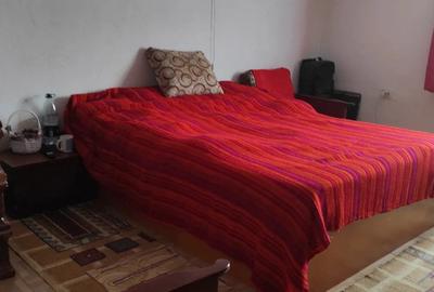 Casa de vanzare in Secaseni - 10