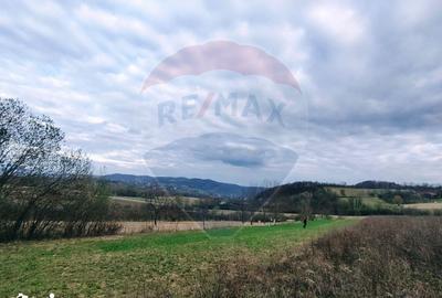 Teren de 5240 mp, în Copalnic - 1