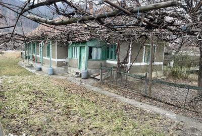 Casă cu 2 camere cu Teren 1695 Mp în Văleni - 11