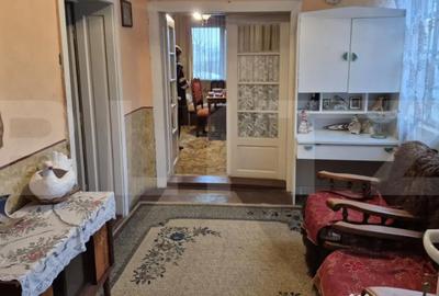 Casă cu 1 camere cu Teren 1306 Mp în Careiului - 12