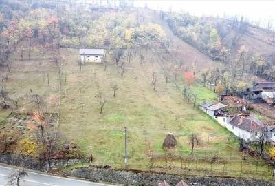 Casă cu 8 camere cu Teren 10100 Mp în Stănești - 2