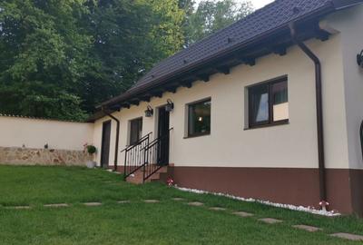 Casă cu 3 camere în Slătioara - 8