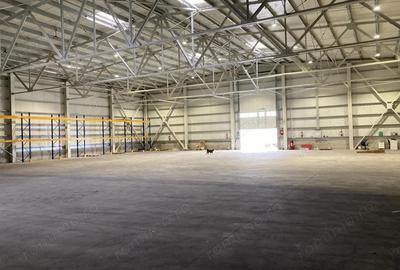 Hala / depozit la DN, constr. 2020, langa Timisoara, autorizata ISU - 2