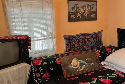 Casă cu 5 camere cu Teren 1452 Mp în Balta Albă - 5