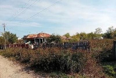 Casă cu 2 camere cu Teren 1899 Mp în Glodeanu Sărat - 13