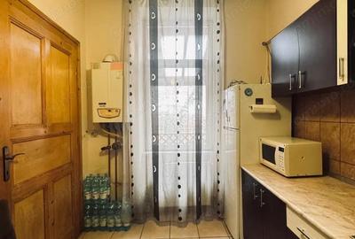 AV660 Apartament 1 camera, la curte, zona strazii Mangalia-Iosefin - 20