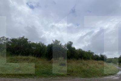 Teren cu poten?ial reziden?ial Simeria, Sfantu Gheorg - 2