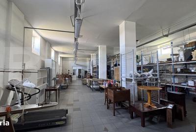 Spațiu comercial, de 1,600 mp, în Brădești - 13