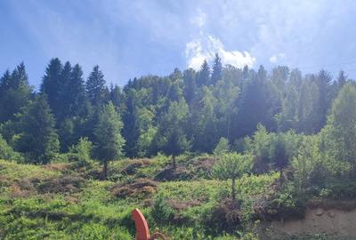 Spațiu comercial, în Baba - 3