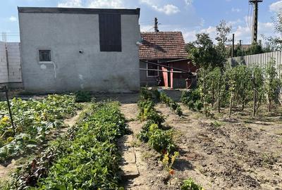 Casă cu 2 camere în Micălaca