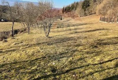 Teren de 6900 mp, în Breb - 1