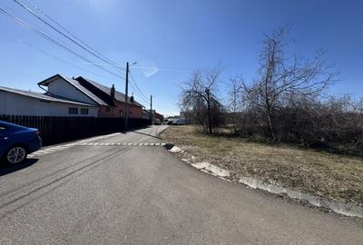 Teren Construcții de 9685 mp, în Păulești - 10