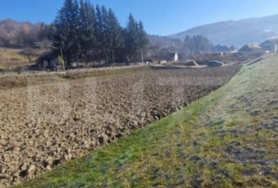 Teren de 6823 mp, în Central - 1