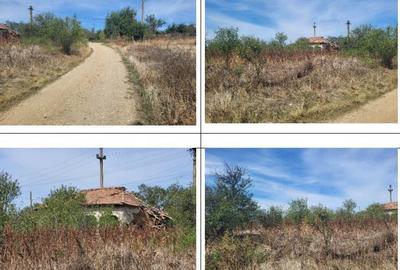 Casă cu 2 camere cu Teren 1691 Mp în Guruieni - 6