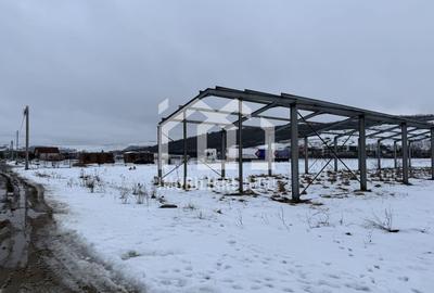 Teren intravilan industrial – 9783 mp | Jucu de Mijloc - 5